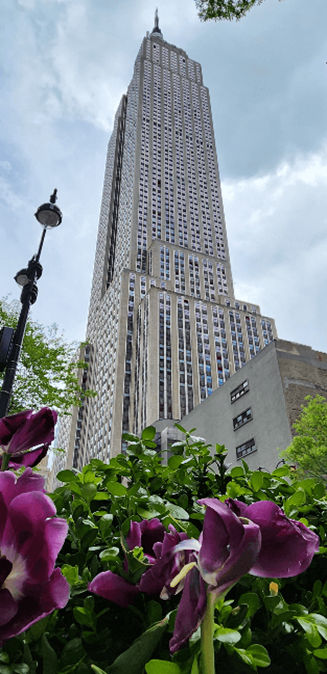 Central Park